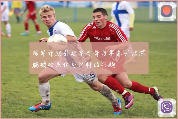 绿军计划引进字母哥与墨菲并试探鹈鹕对杰伦与怀特的兴趣